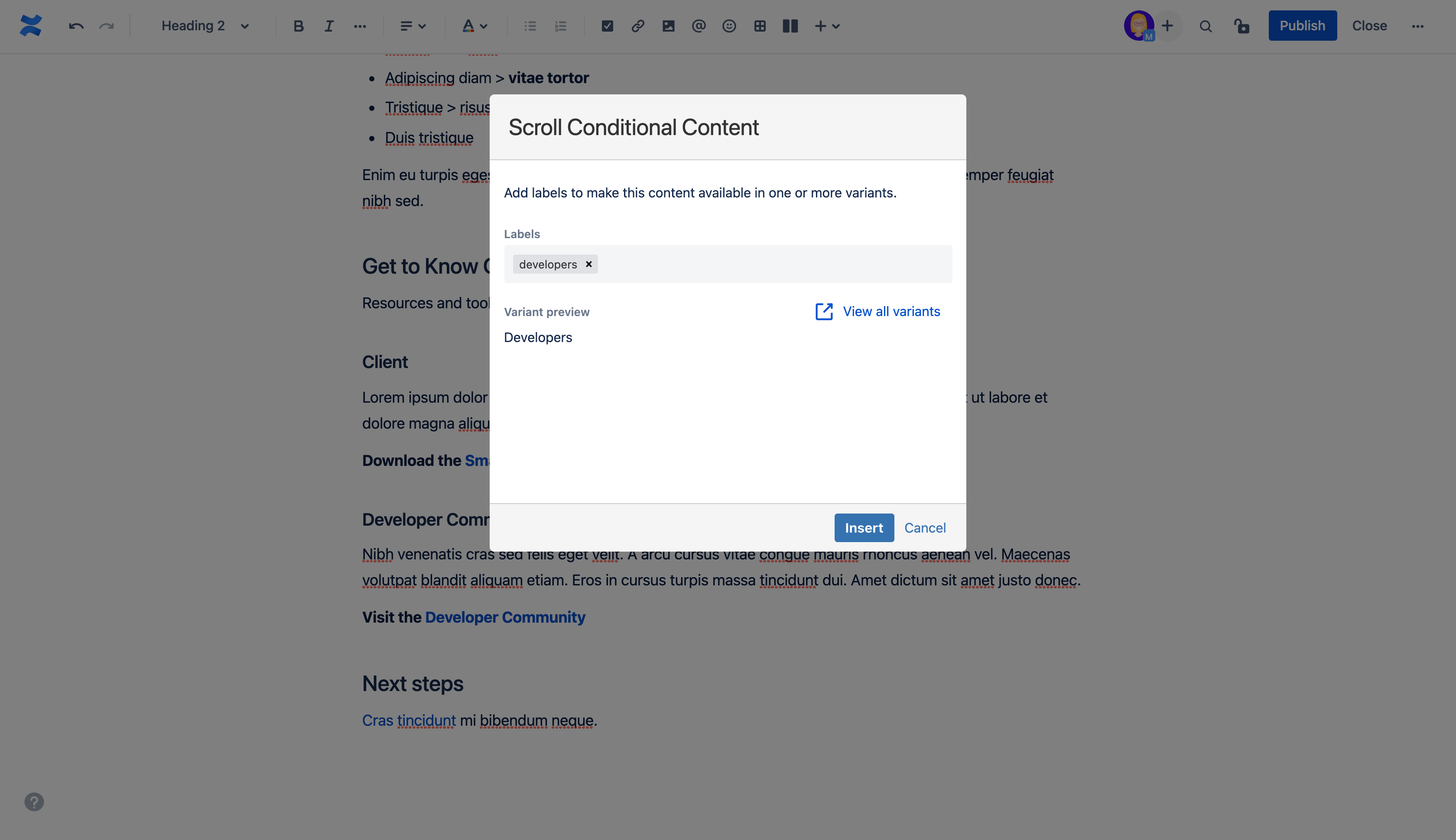 Display of Scroll Conditional Content window with a developers label included