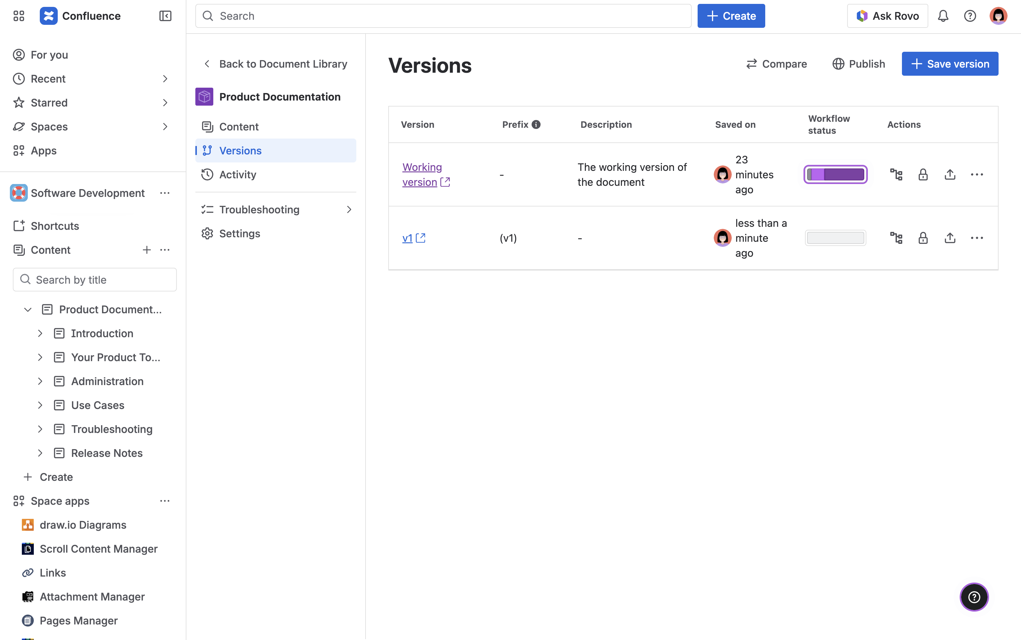 Document Manager view, showing the active Working Version alongside one saved version in the version list