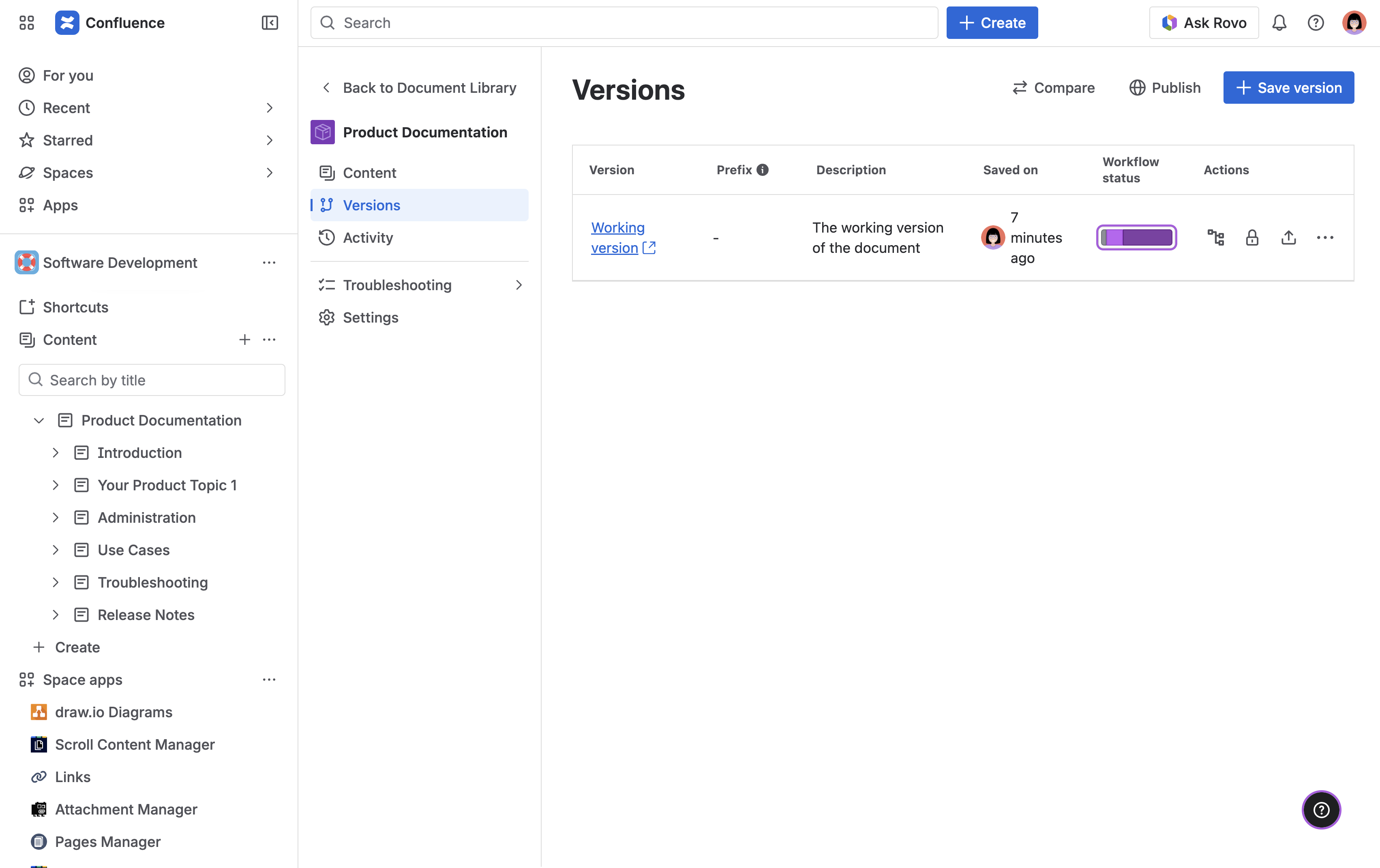 Document Manager open with one Working version